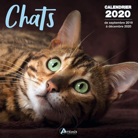  Artémis - Calendrier Chats - De septembre 2019 à décembre 2020.