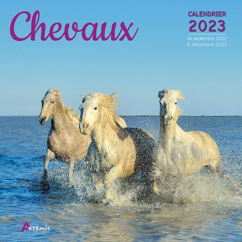 Calendrier Chevaux - artemis - 9782816016659 - Livre 