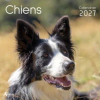 Calendrier Chiens