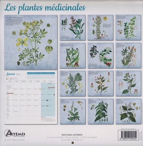 Calendrier les plantes médicinales. De septembre 2022 à décembre 2023  Edition 2023