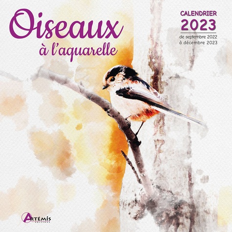Calendrier Oiseaux à l'aquarelle. De septembre 2022 à décembre 2023  Edition 2023