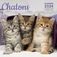  Artémis - Chatons - Calendrier de septembre 2023 à décembre 2024.
