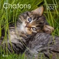 Chatons