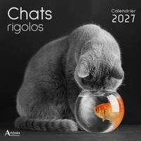 Chats rigolos