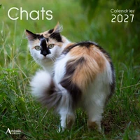 Chats