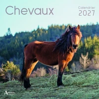 Chevaux