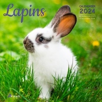  Artémis - Lapins - Calendrier de septembre 2023 à décembre 2024.