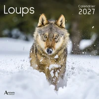 Loups