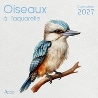 Oiseaux à l'aquarelle