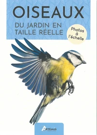 Oiseaux du jardin en taille réelle