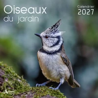 Oiseaux du jardin