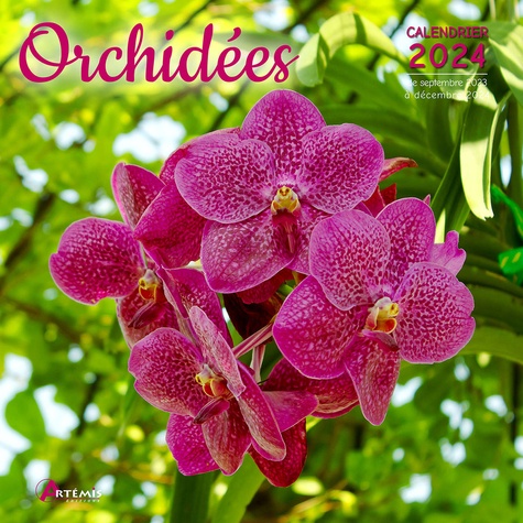  Artémis - Orchidées - Calendrier de septembre 2023 à décembre 2024.