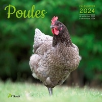  Artémis - Poules - Calendrier de septembre 2023 à décembre 2024.