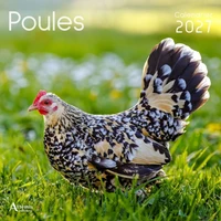 Poules