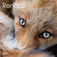 Renard