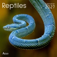 Reptiles