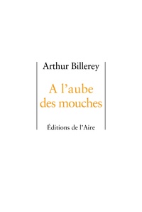Arthur Billerey - A l'aube des mouches.
