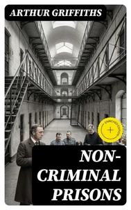 Non-Criminal Prisons