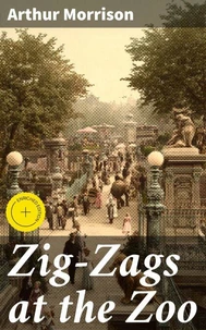 Zig-Zags at the Zoo