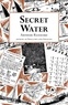 Arthur Ransome - Secret Water.