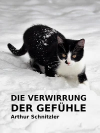 Verwirrung der Gefühle