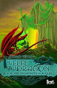 Arthur Ténor - L'elfe au dragon Tome 3 : Sorciers des mondes glauques.
