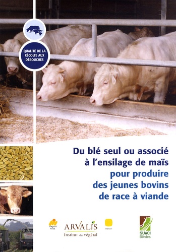  Arvalis - Institut du végétal - Du blé seul ou associé à l'ensilage de maïs pour produire des jeunes bovins de race à viande.