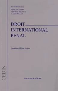 Droit international pénal