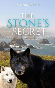The Stone's Seceret
