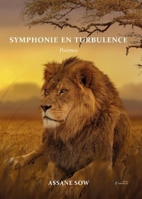 Assane Sow - Symphonie en turbulence.