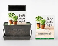Petit jardin en pot
