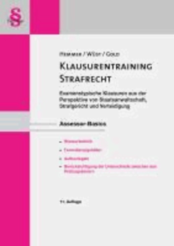 Assessor Basics Klausurentraining  - Strafprozessordnung - ein Querschnitt der examensrelevantesten Themenstellung dargestellt am "großen Fall".