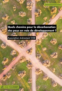 Quels chemins pour la décarbonation des pays en voie de développement ?