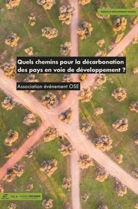 Quels chemins pour la décarbonation des pays en voie de développement ?