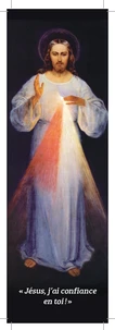 Lot de 10 signets Divine Miséricorde