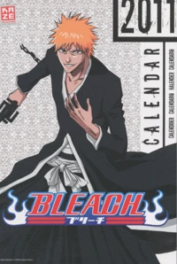 Bleach calendrier 2010/2011
