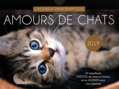 Amours de chats. L'agenda panoramique  Edition 2019