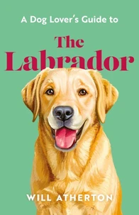 The Labrador