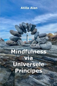  Atilla Alan - Mindfulness via Universele Principes.