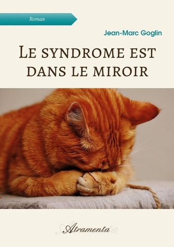 Le syndrome est dans le miroir de Jean-Marc Goglin - Livre - Decitre