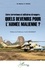 Entre terrorisme et militaires étrangers : quels devenirs pour l'armée malienne ?