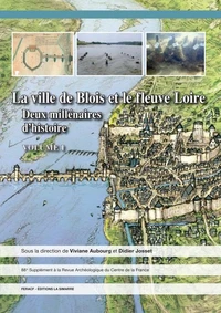 La ville de Blois et le fleuve Loire
