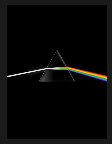 Pink Floyd, their mortal remains