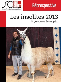 Les insolites de l'année 2013
