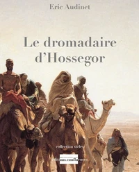 Le dromadaire d'Hossegor