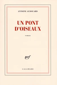 Un pont d'oiseaux
