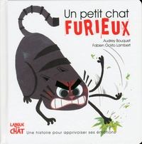Audrey Bouquet et Fabien Lambert - Un petit chat furieux.