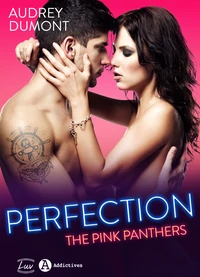 Perfection - The Pink Panthers