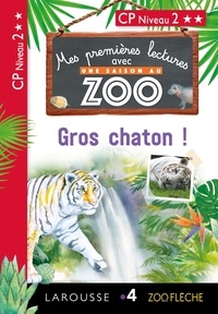Téléchargement gratuit des formats ebook pdf Gros chaton !  - CP Niveau 2 in French FB2 par Audrey Forest, Manuel Alves 9782035972903