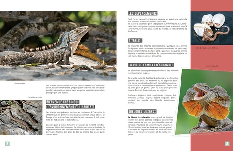 Ma petite encyclo des reptiles et amphibiens